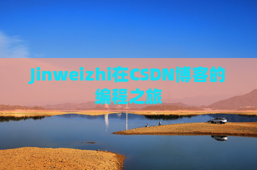 Jinweizhi在CSDN博客的编程之旅
